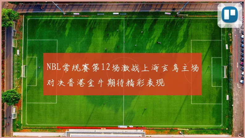 NBL常规赛第12场激战上海玄鸟主场对决香港金牛期待精彩表现