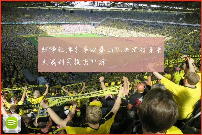 郑铮红牌引争议泰山队决定对京鲁大战判罚提出申诉