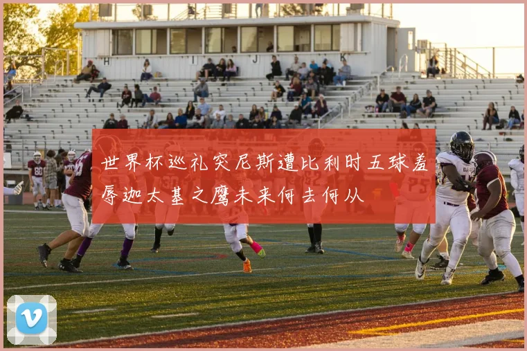 世界杯巡礼突尼斯遭比利时五球羞辱迦太基之鹰未来何去何从